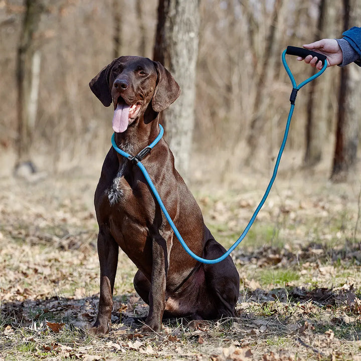 Round Nylon Slip Lead Dogline