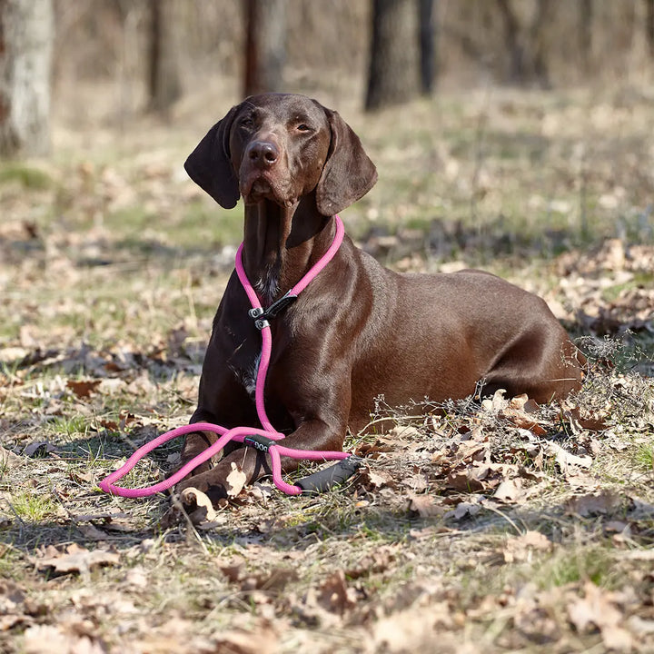 Round Nylon Slip Lead Dogline