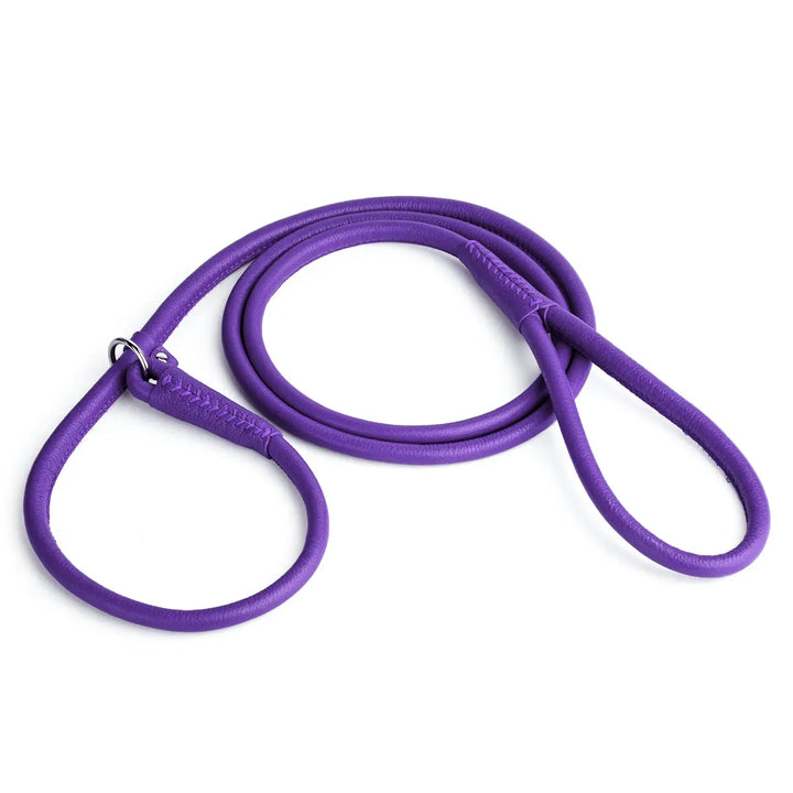 Soft Leather Round Slip Lead Dogline