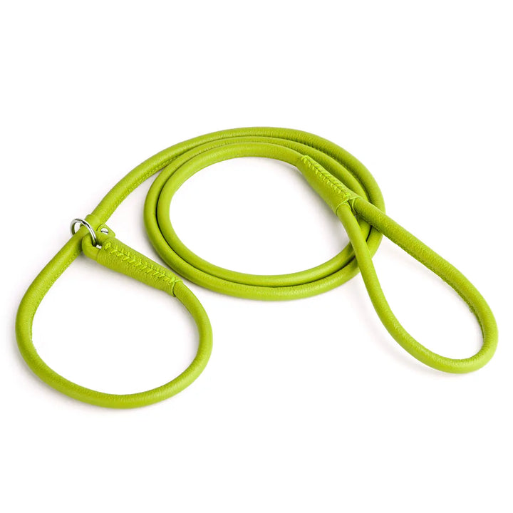 Soft Leather Round Slip Lead Dogline