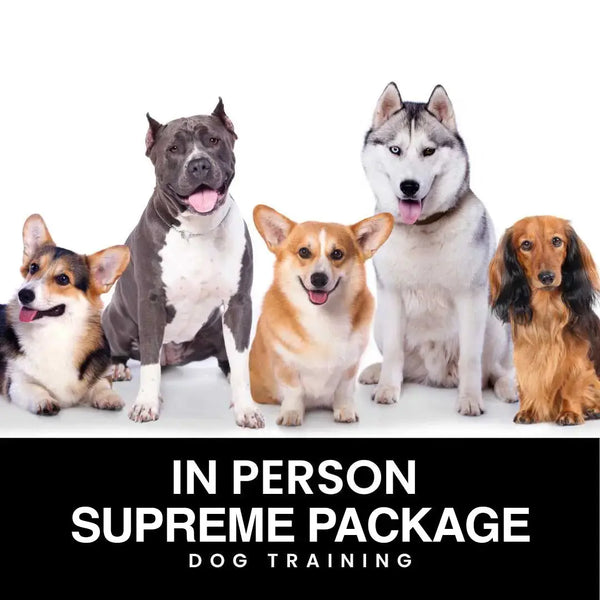 Supreme In-Person Dog Training Package Cali K9® Online Store