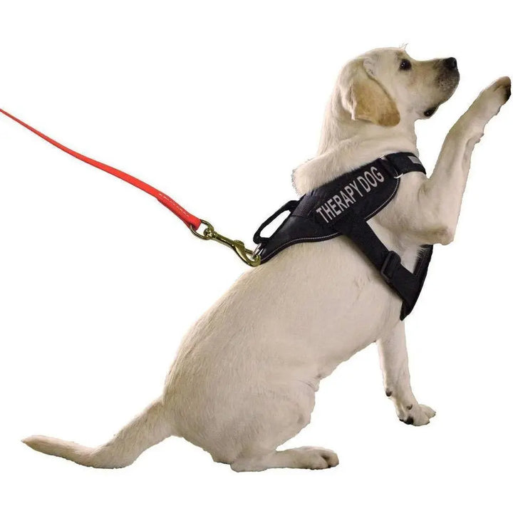 Biothane Long Line Leash Dogline