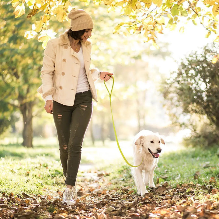 Biothane Long Line Leash Dogline