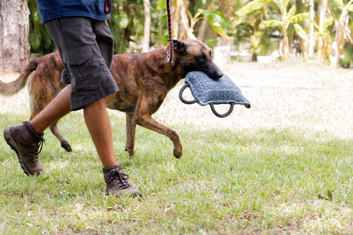 Bite Pillow Tug Toy - 3 Handle Dogline