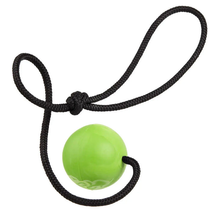 Euro Ball with Rope Handle Dogline