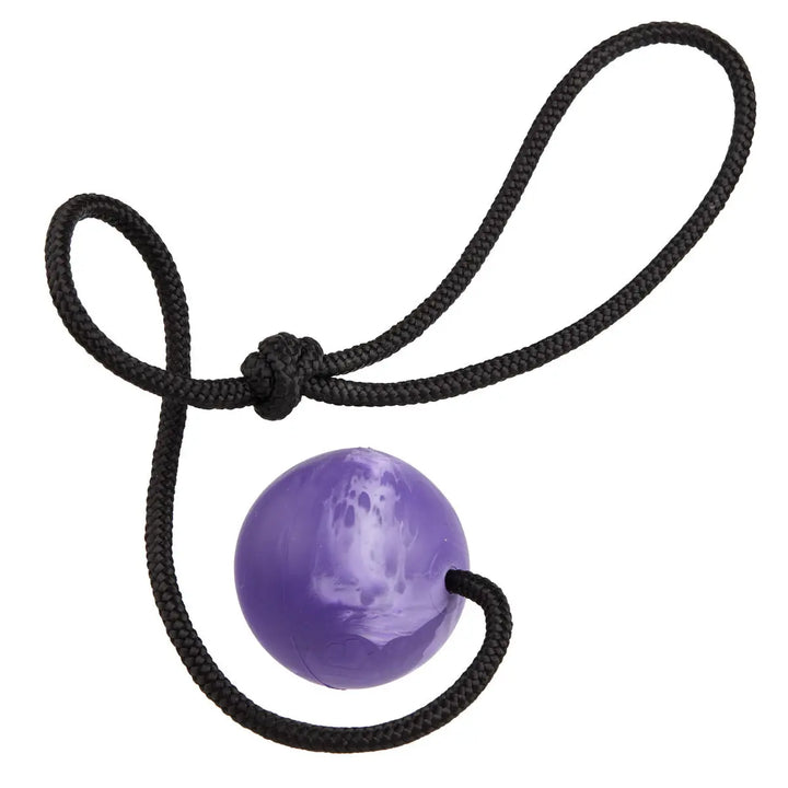 Euro Ball with Rope Handle Dogline