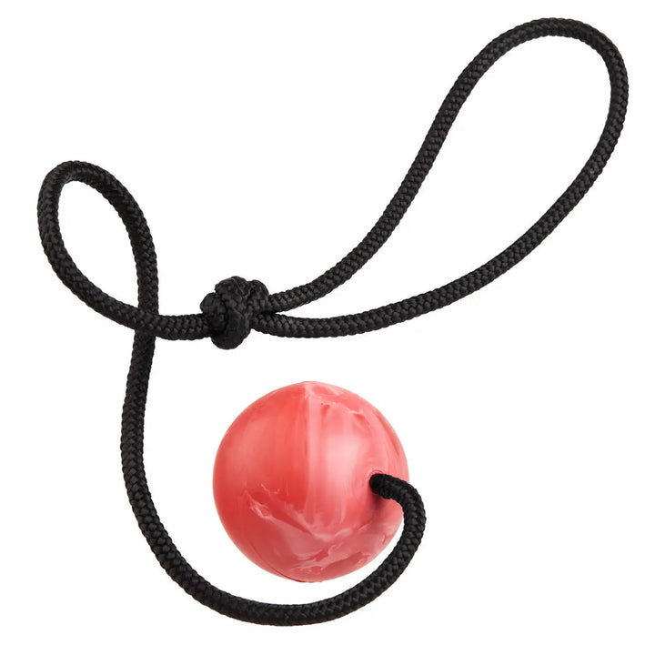 Euro Ball with Rope Handle Dogline