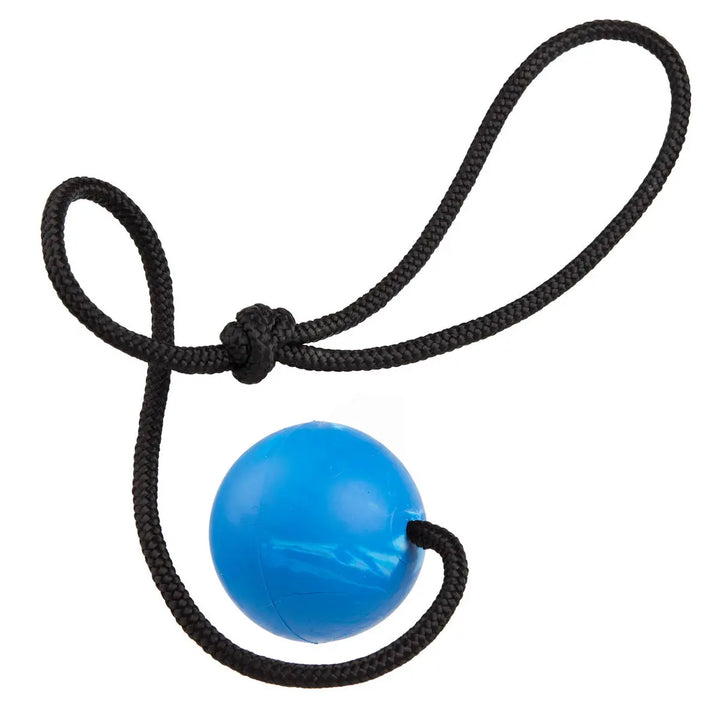 Euro Ball with Rope Handle Dogline