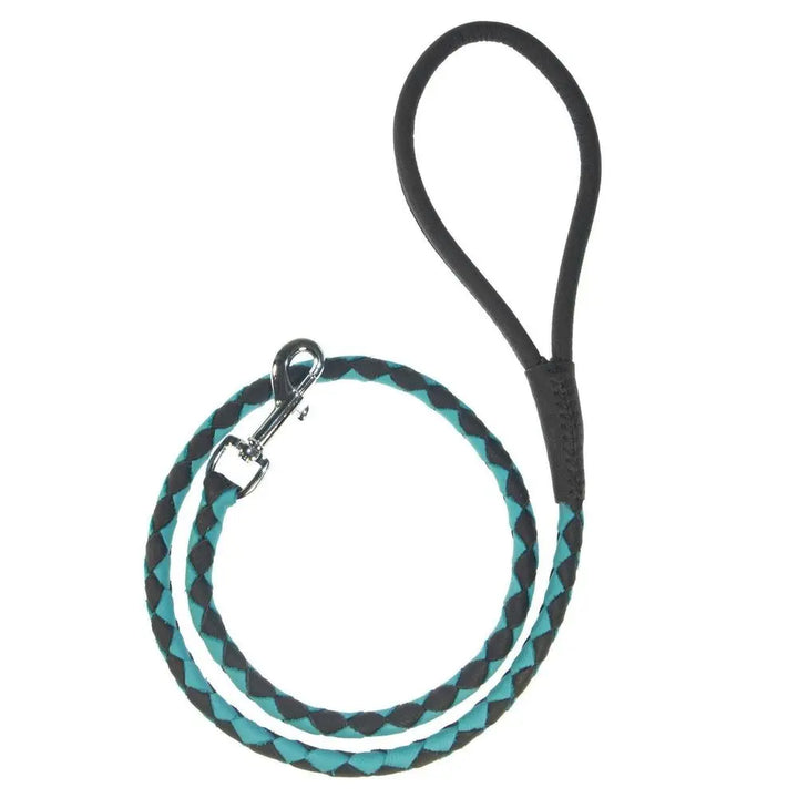 Soft Leather Dual-Color Braided Round Lead Dogline