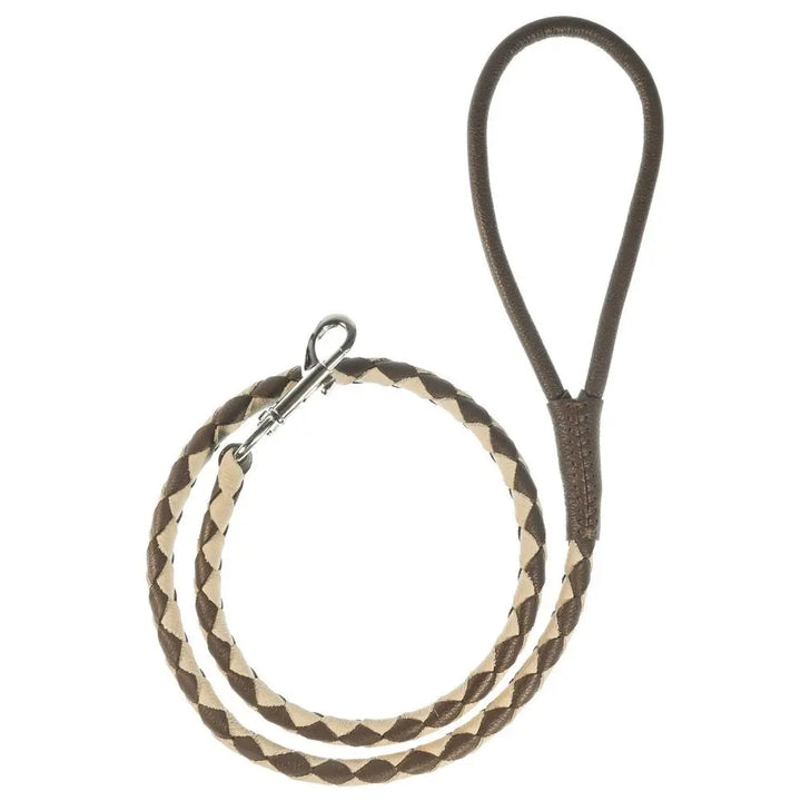 Soft Leather Dual-Color Braided Round Lead Dogline