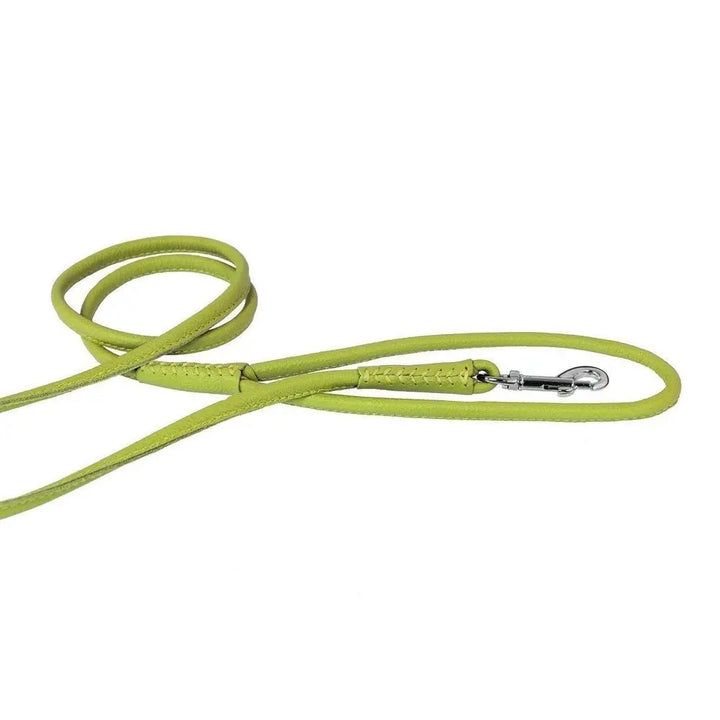 Soft Leather Round Lead Dogline